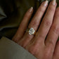 Kendall Oval Solitaire
